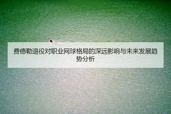 费德勒退役对职业网球格局的深远影响与未来发展趋势分析